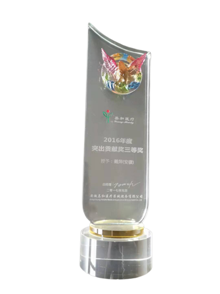 2016年度突出贡献三等奖